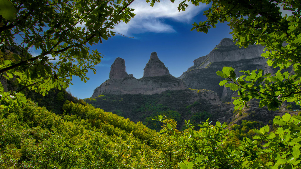 魅力驼峰.jpg